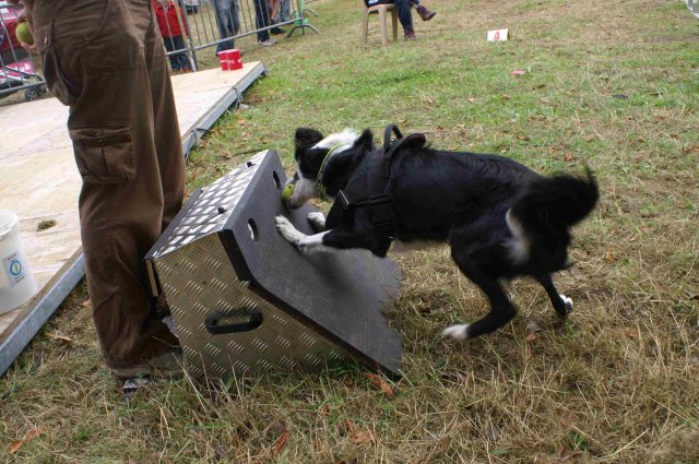 foire-haricots 2011-09-17et18